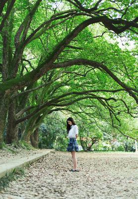 成全电影大全在线观看高清免费播放捉妖记